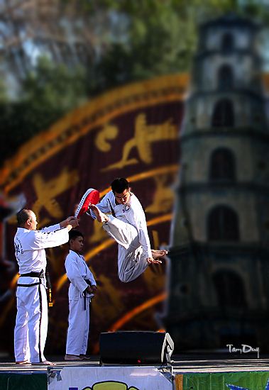 Duc dang taekwondo vu le performing jumping roundhouse kick